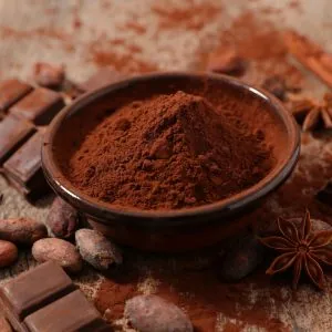 A photo of a small bowl of cocoa powder with squares of chocolate and cocoa beans scattered around it
