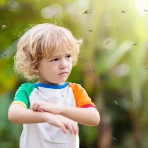 A little boy scratching his skin with mosquitoes in the air