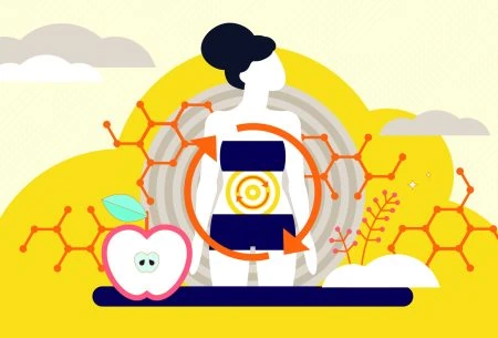 An illustration depicting digestive enzymes
